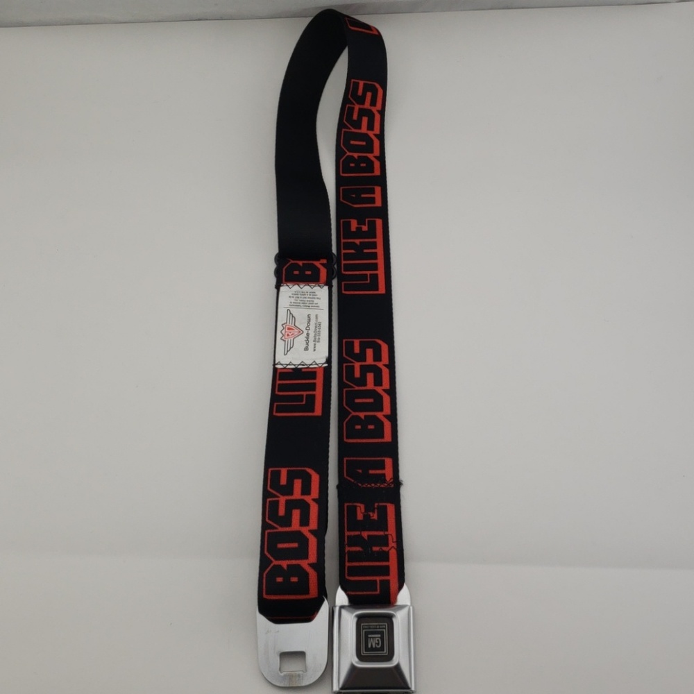 GM Seatbelt Belt and belt buckle